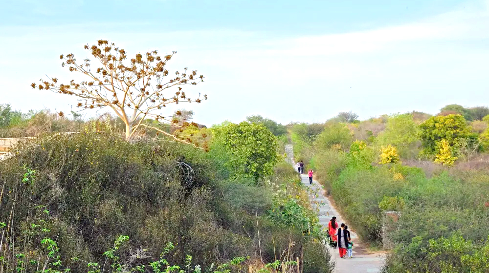 Aravalli Bio Diversity Park